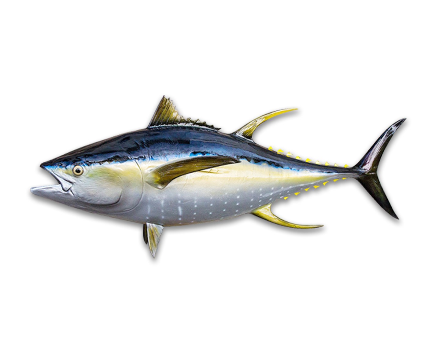 Yellowfin sole рыба